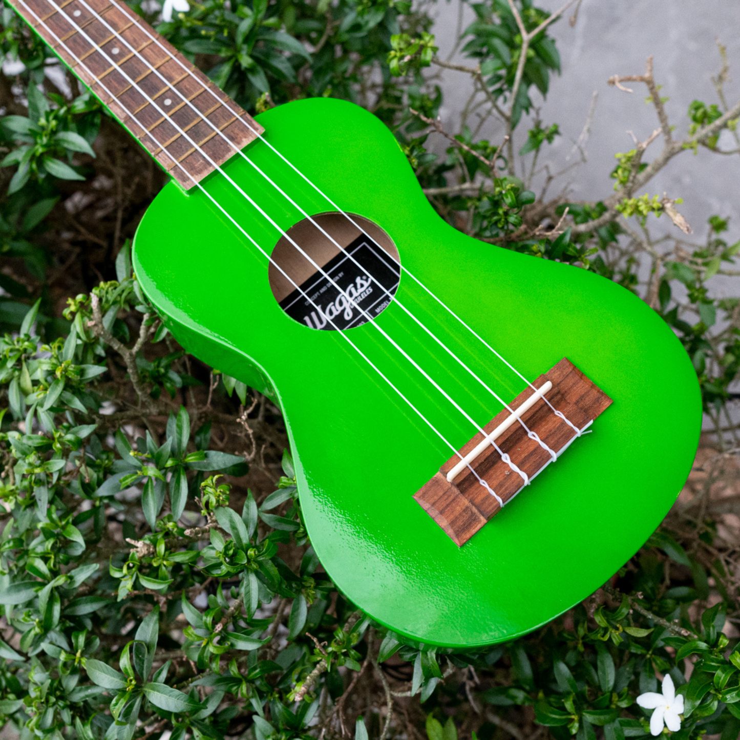 Soprano Ursula Ukulele - Wagas Ukes