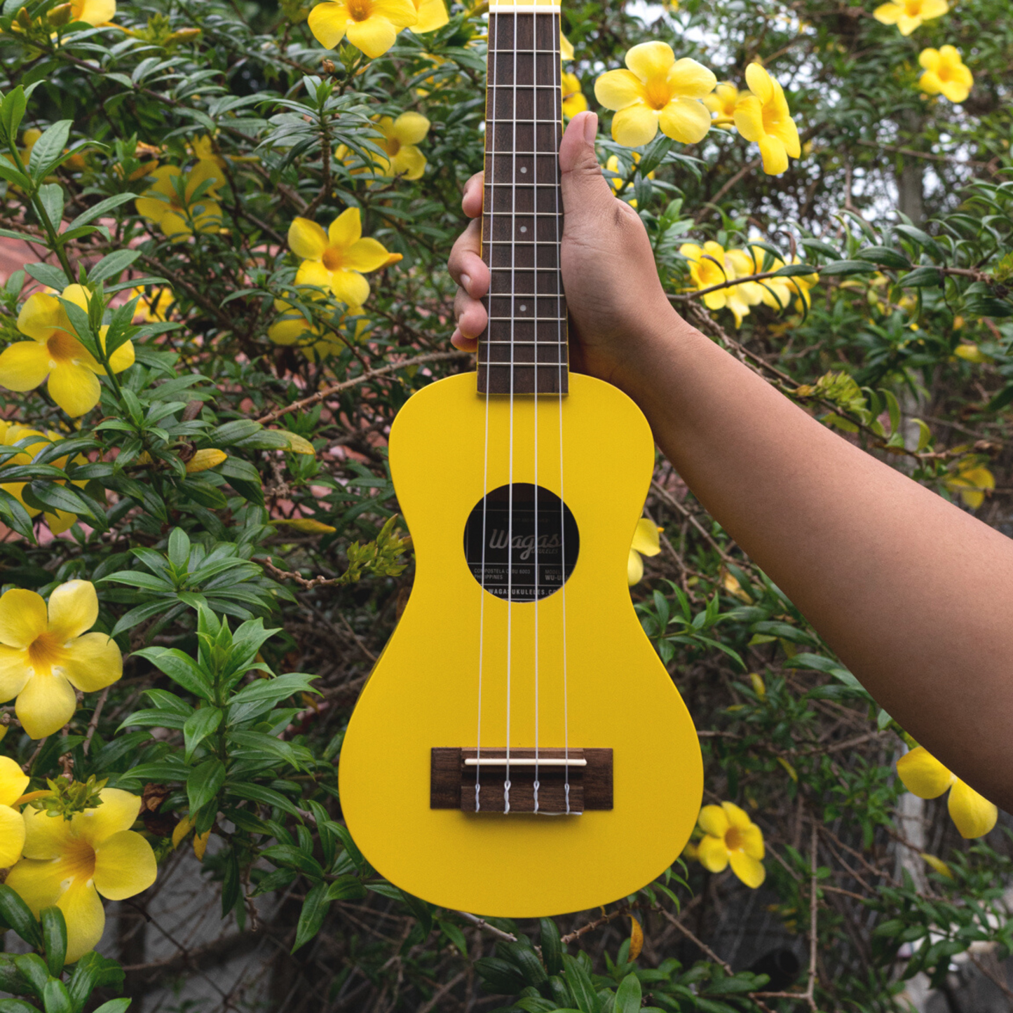 Soprano Ursula Ukulele - Wagas Ukes