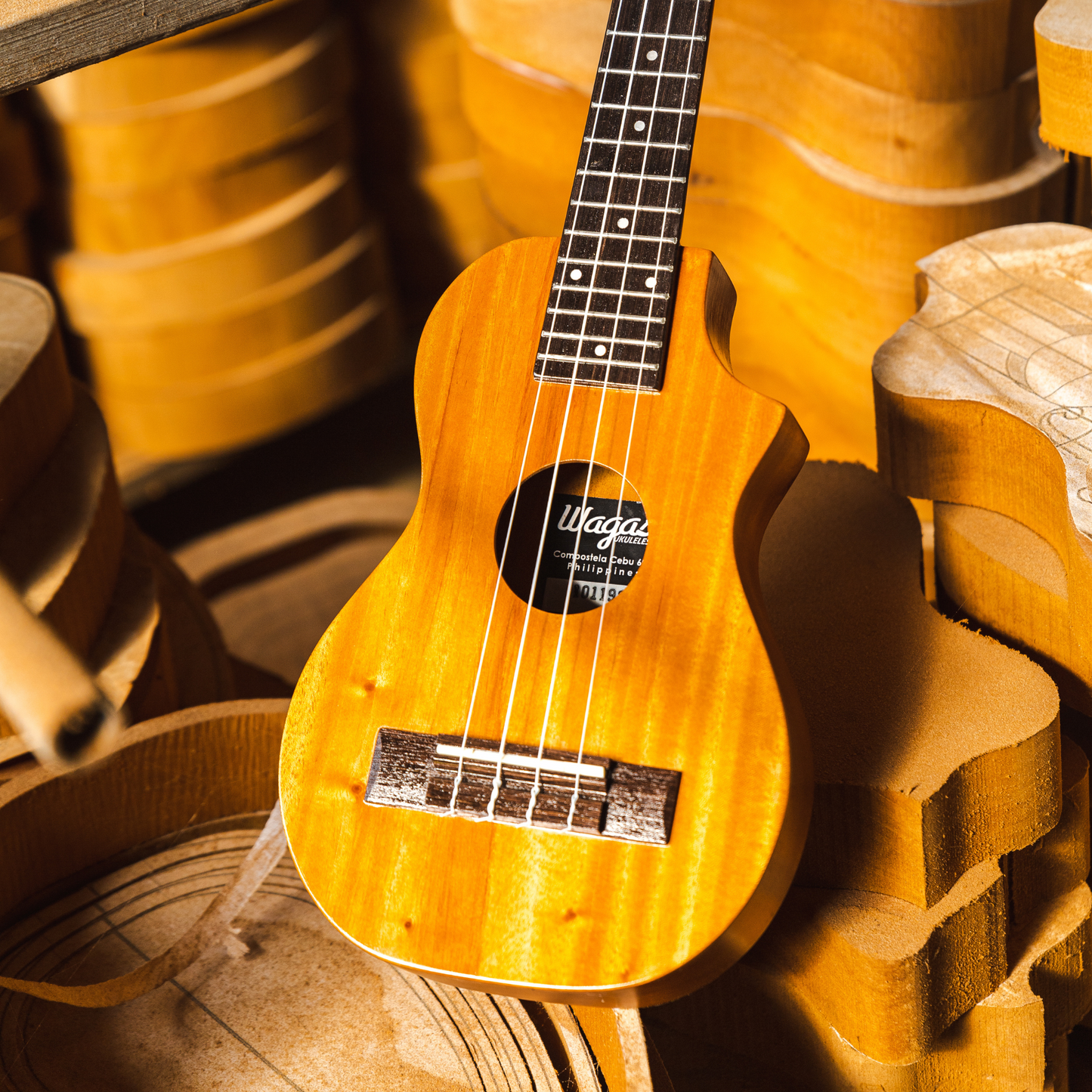 Traditional Ukulele - Wagas Ukes