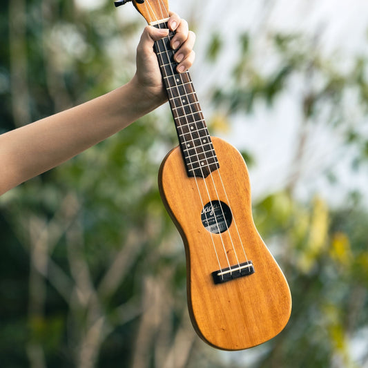 Soprano Travel Ukulele - Wagas Ukes