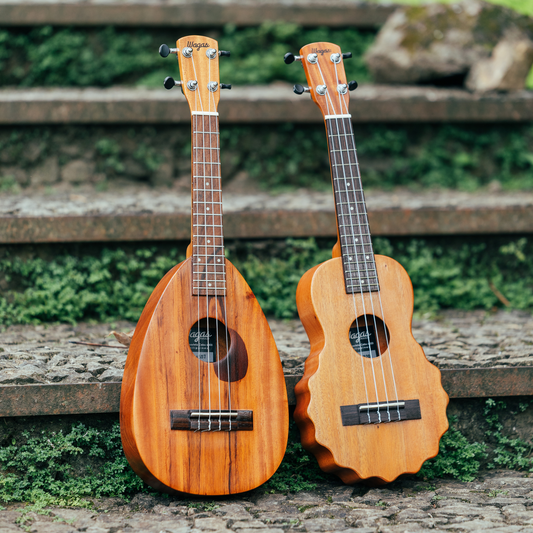 Traditional Ukulele - Wagas Ukes